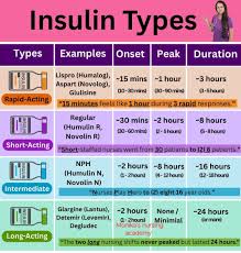 Insulin Types Chart